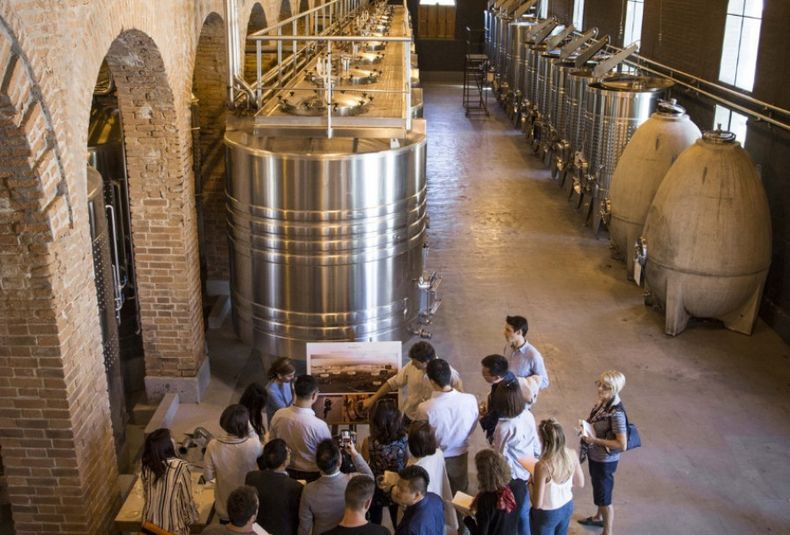 Bodega terrazas de los andes turismo enoturismo