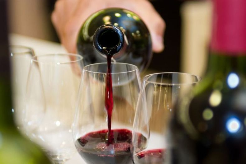 Taninos Wine Fest vuelve a Mendoza con más de 70 bodegas y un fin solidario: recaudar fondos para AVOME