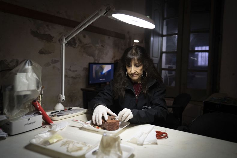 Una museóloga y conservadora del área de arqueología y paleontología de la Dirección General Patrimonio, Museos y Casco Histórico de la Ciudad de Buenos Aires, trabaja en una pieza en el laboratorio instalado en la denominada Casa Blaquier, en la ciudad de Buenos Aires, capital de Argentina, el 23 de septiembre de 2026. Excavaciones arqueológicas iniciadas en marzo en un inmueble ubicado en la zona sur de Buenos Aires, Argentina, permitieron identificar cinco estructuras y rescatar más de 4.000 fragmentos, entre ellos macuquinas (monedas) y un peón de ajedrez tallado en hueso. (Xinhua/Martín Zabala)