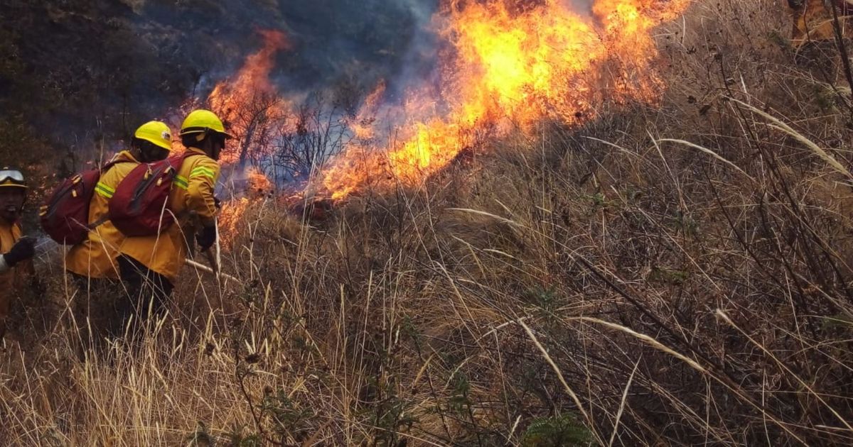 Perú Los Incendios Forestales Ya Causaron Tres Muertes