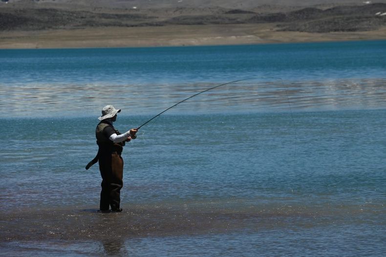 Unificación de criterios y controles: así será la pesca esta temporada 2025/2026.