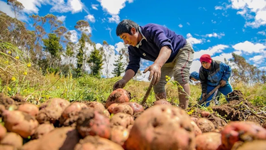 Advierten por una posible pérdida de productores de las economías regionales