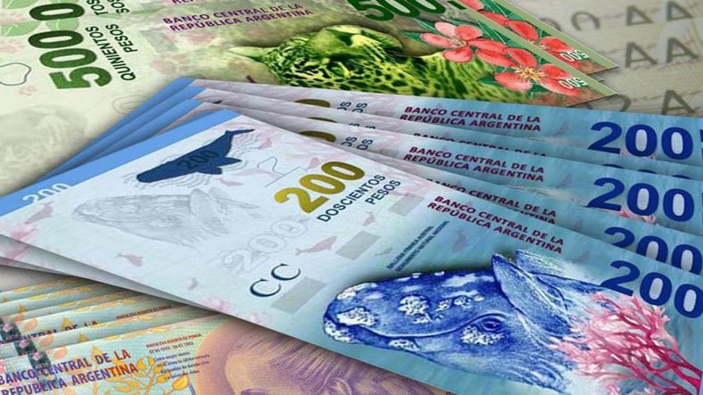 Los préstamos en pesos al sector privado cayeron 20,7%