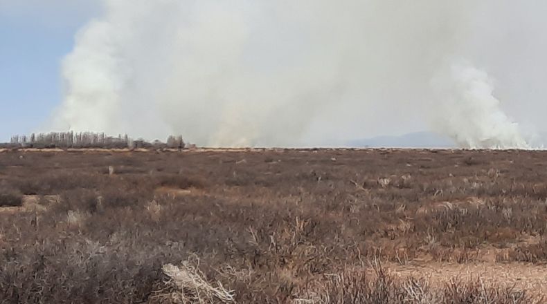 El incendio afectó la zona de Laguna de Las Taguas.