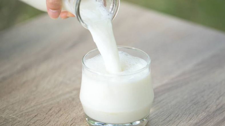 ¿Por qué se celebra hoy el Día Mundial de la Leche? El origen de una fecha clave para la salud