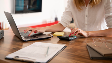 Sitio Andino | empleo desempleo
