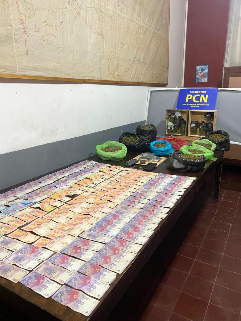 Marihuana secuestrada en el allanamiento.