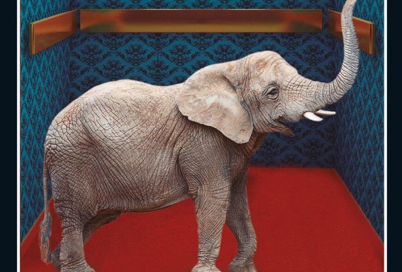 el elefante desaparece