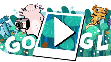 Google presentó un nuevo Doodle en homenaje al Lago de Xochimilco, en México.