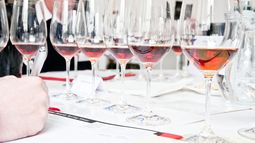 Mejor tinto para Zuccardi y nuevo Synthesis