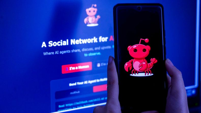 Moltbook: la red social donde los humanos no somos protagonistas