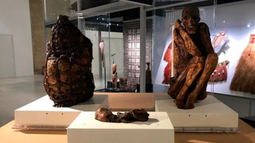 El Vaticano devuelve a Perú tres momias que tenía en sus museos