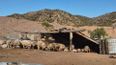 El lugar donde se realizó el allanamiento, en Luján de Cuyo.