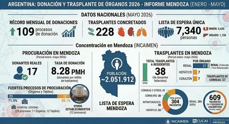 Datos oficiales proporcionados por el INCAIMEN. Imagen creada con IA