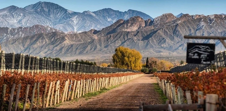 Fin de semana largo en la provincia de Mendoza: vino, montañas y placeres para el paladar