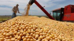 La soja sufrirá una baja de las retenciones
