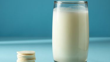 De la copa de leche al snack: la apuesta del INTA con chips de mozzarella De la copa de leche al snack: la apuesta del INTA con chips de mozzarella