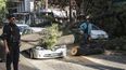 Accidentes de tránsito por arbolado público en Mendoza: la guía legal para realizar reclamos