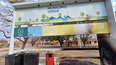 Vandalismo en San Rafael