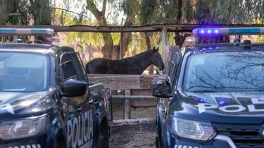 La mercadería no era apta para el consumo humano La mercadería no era apta para el consumo humano