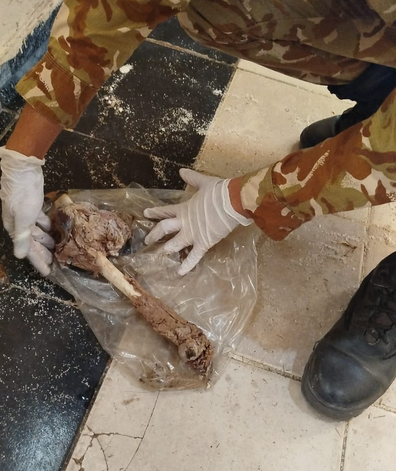 La Policía Rural logró desarticular una maniobra de caza furtiva y resguardar restos de un puma