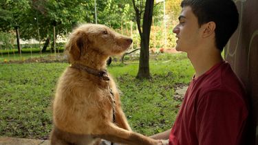 Netflix tiene una gran película oculta en su catálogo.