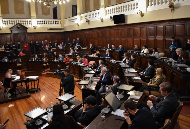 Diputados, Legislatura, composicion 2022
