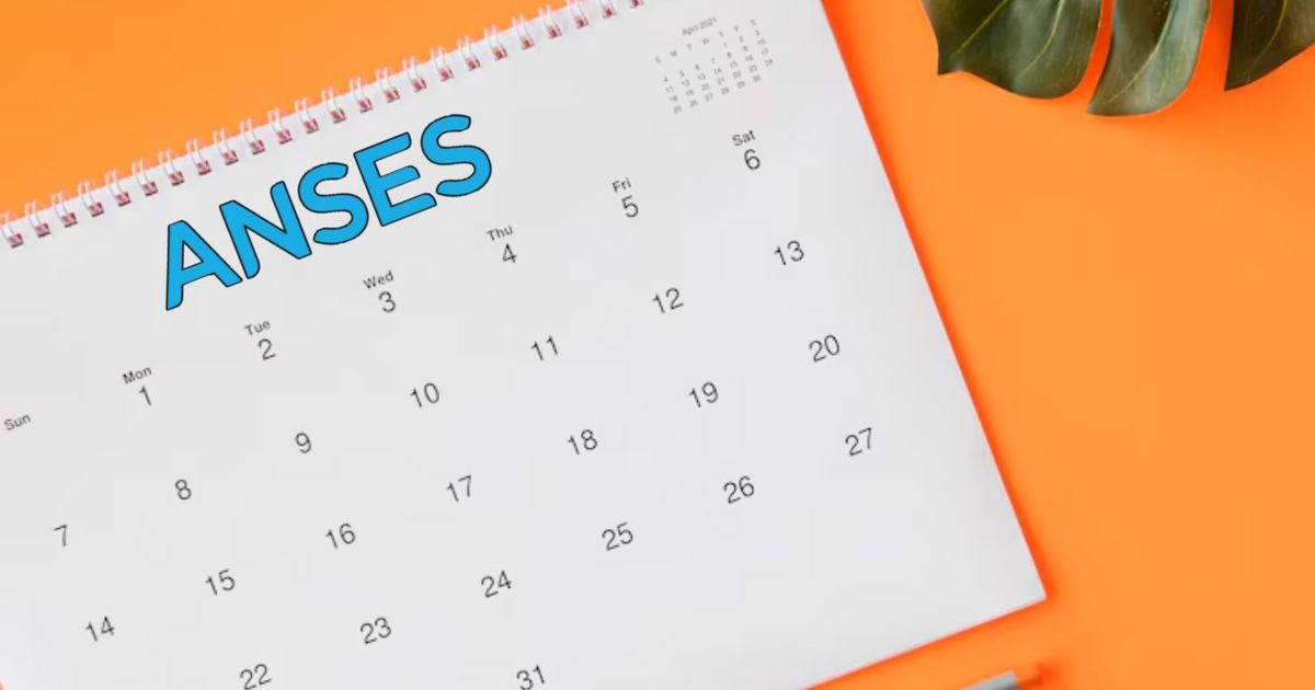 ANSES: conocé el calendario completo de pagos para julio 2025