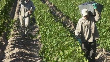 Energía: la provincia pidió subsidios para productores