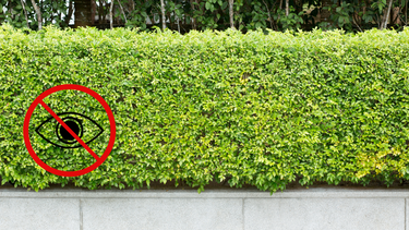 Sitio Andino | cerco, jardinería.png
