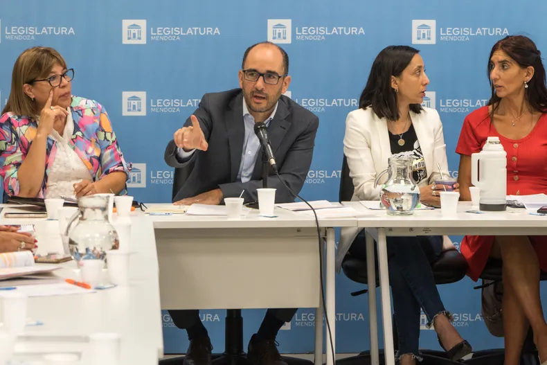 Este jueves, continu&oacute; el debate por el proyecto de ley de Alfabetizaci&oacute;n Escolar de Mendoza con la participaci&oacute;n de Hacienda.