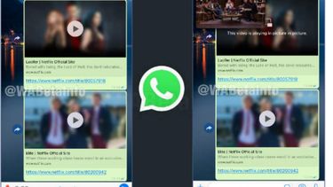 Sitio Andino | Netflix en wassap 1