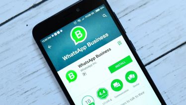 Sitio Andino | WhatsApp bussiness