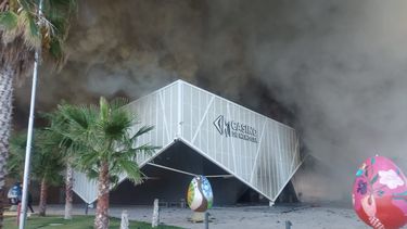 La escena generó gran conmoción entre los vecinos de San Martín