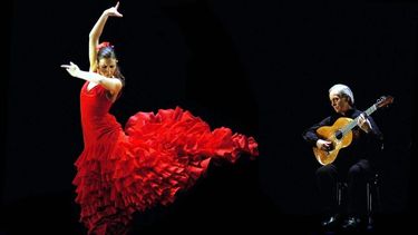Día Internacional del Flamenco: por qué se celebra hoy, 16 de noviembre