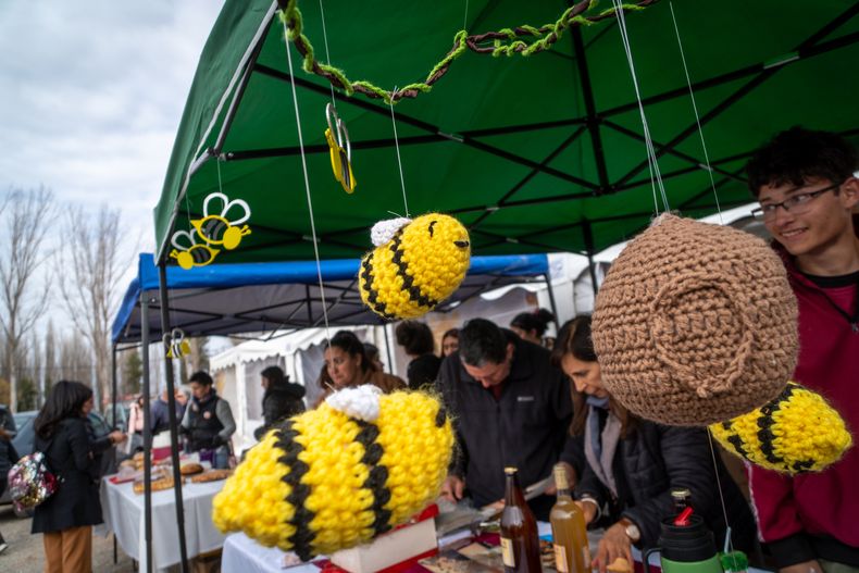 La Expo Apícola 2025 contó con gran participación juvenil y la presencia de escuelas agrotécnicas