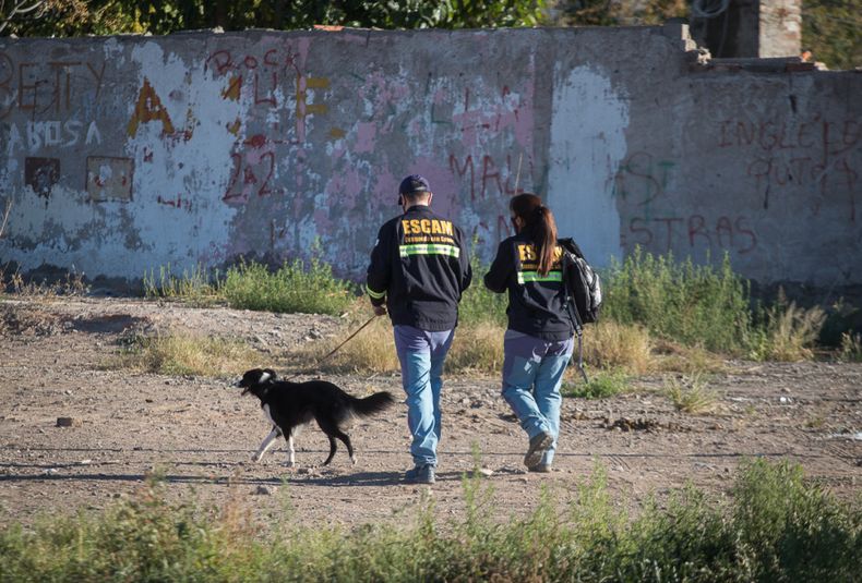 Doble homicidio en Tunuyán: convocaron a personal de canes