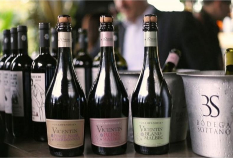 Vicentin family wines y bodega sottano 796078