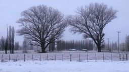 La nieve domina paisajes de Malargüe.