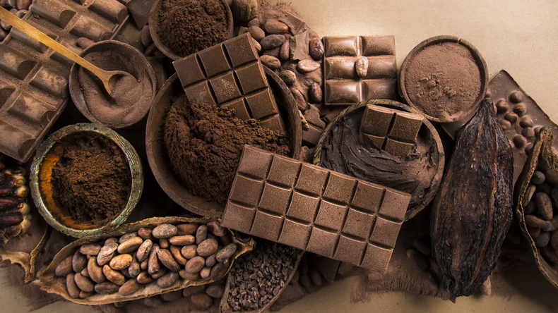 El chocolate: un superalimento para tu intestino