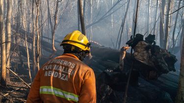 Incendios y refuerzos clave: cómo se distribuirán los fondos a bomberos voluntarios mendocinos.