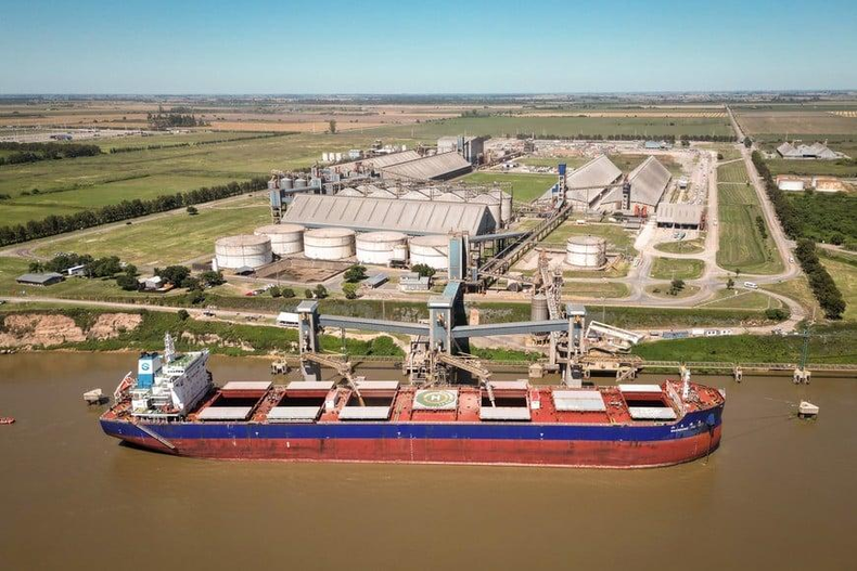 La agroindustria crece en el valor exportado pero pierde participación global
