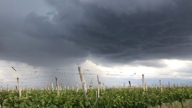San Rafael, Ciudad y el Valle de Uco fueron algunos de los sectores que registraron granizo San Rafael, Ciudad y el Valle de Uco fueron algunos de los sectores que registraron granizo