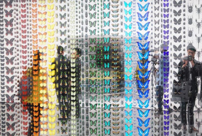 20 Installation-View-of-Damien-Hirst-Entomology-Cabinets-and-Paintings-Scalpel-Blade-Paintings-and-Colour-Charts-©Damien-Hirst-Source-www.lesocietefair.com _redimensionar