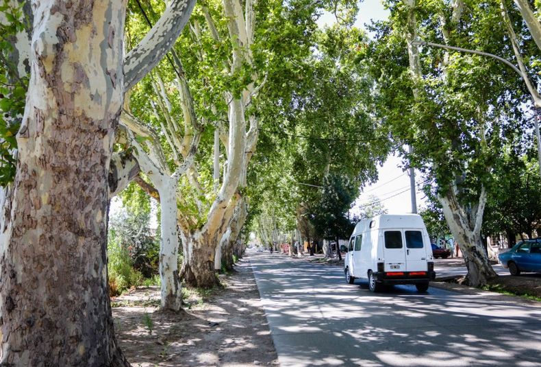 El proyecto frenado dos años que la Legislatura de Mendoza se prepara para sancionar.