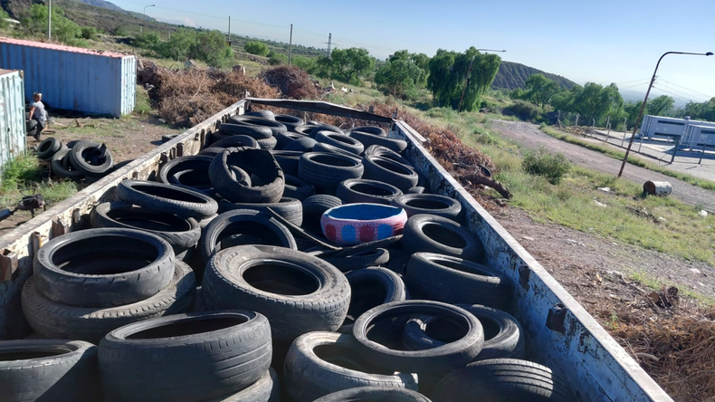 Programa de reciclaje de neumáticos en franco crecimiento.