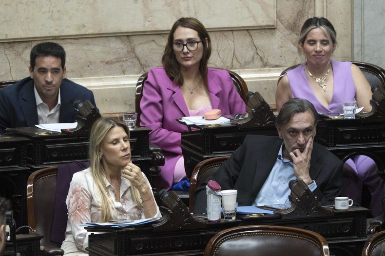 Los legisladores debutantes de La Libertad Avanza en la Cámara de Diputados, entre quienes están Karen Reichardt y 
