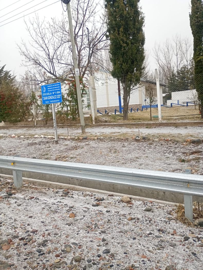 En la localidad de Gualtallary, Tupungato, tampoco faltó la nieve.