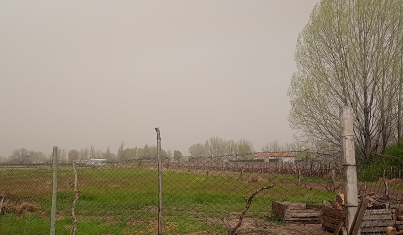 Granizo en San Carlos: tormentas y fuertes vientos afectan al Valle de Uco