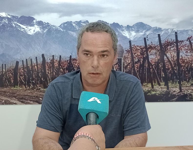 José Hinojosa, Coop. San Carlos Sud, estima que cuentan con un 35% menos de uva para ésta cosecha 2023